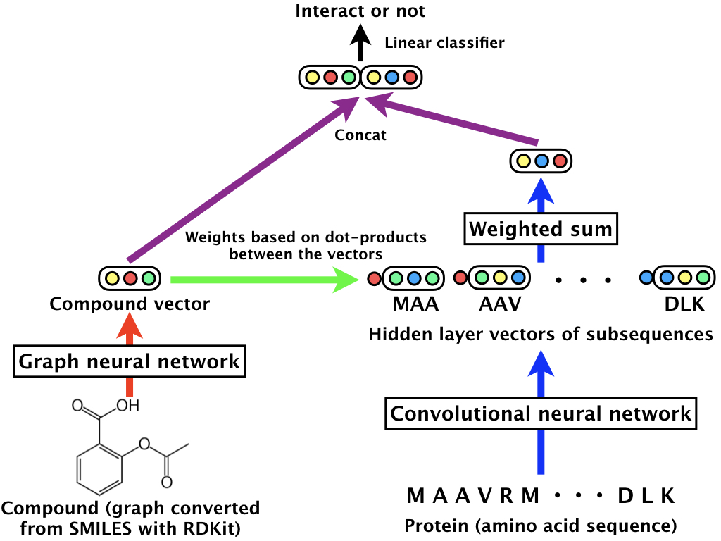 graphcpi graph neural representation learning for compound protein interaction